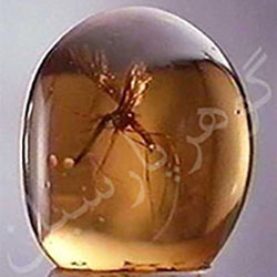 گوهرشناسی آموزش گوهرشناسی