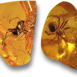 گوهرشناسی آموزش گوهرشناسی