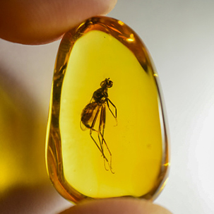 سنگ شناسی گوهرشناسی