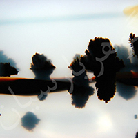 گوهرشناسی عقیق