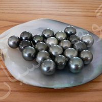 Pearl گوهرشناسی