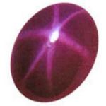 100064_ASP-19-Star-Ruby 100064_ASP-19-Star-Ruby